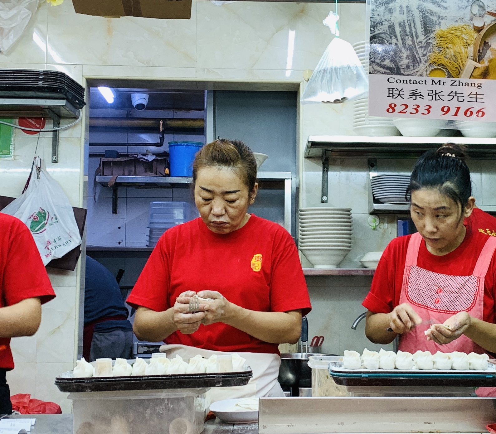 Shan Dong Dong Ji La Mian Xiao Long Bao - Making Dumplings