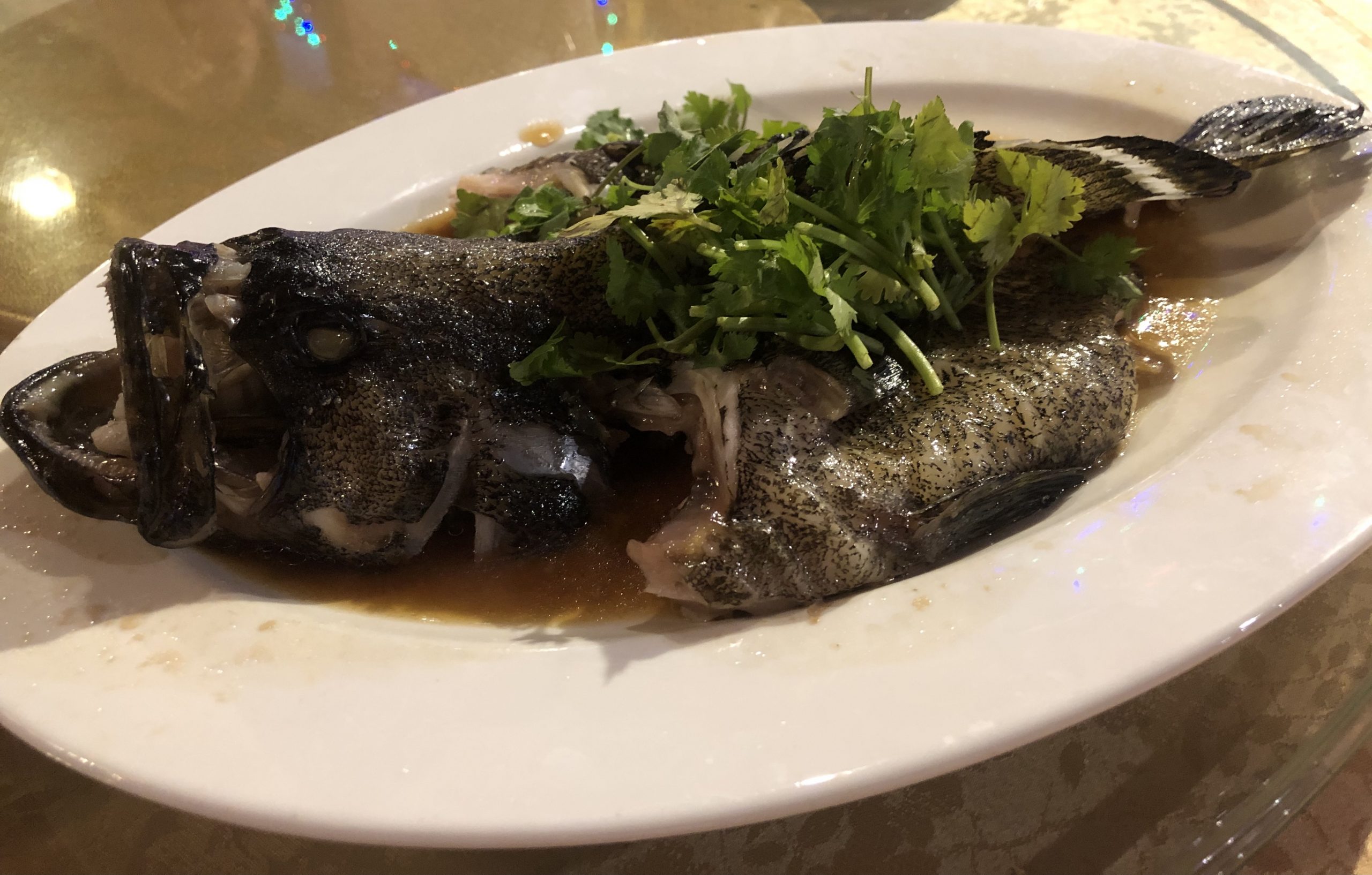 Tasty Loong - Steamed Garoupa in Hong Kong Style